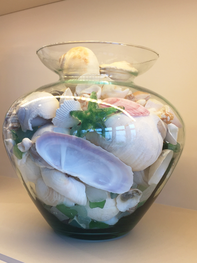 Shells in Vase